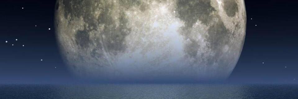 AdrianRodzombie's profile banner image