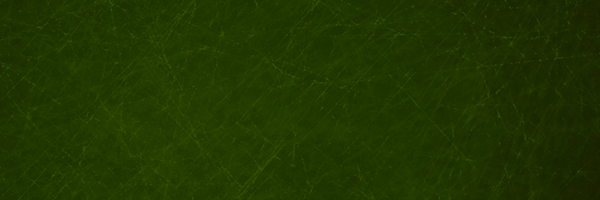 Myrathi Profile Banner