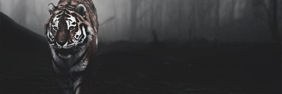 athony56's profile banner image