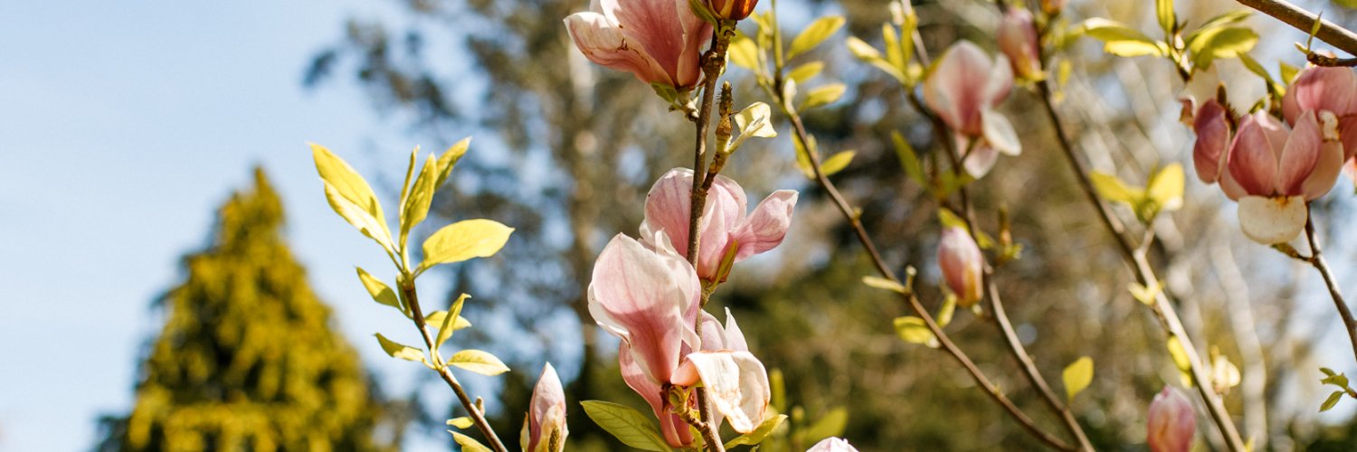 adeledb27's profile banner image