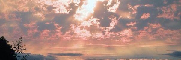 _MadisonUnger's profile banner image