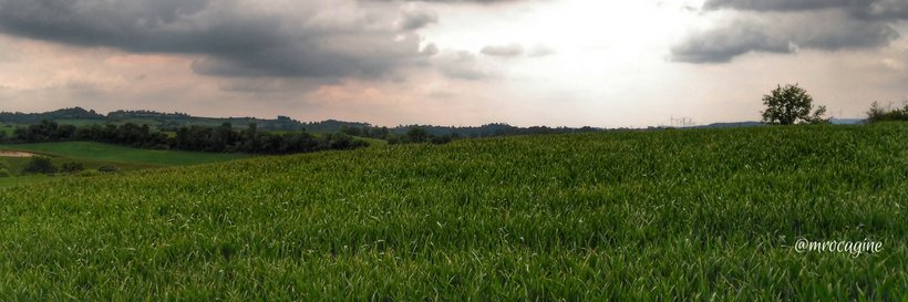 mrocagine's profile banner image