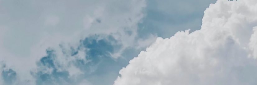 vinizimmermann's profile banner image
