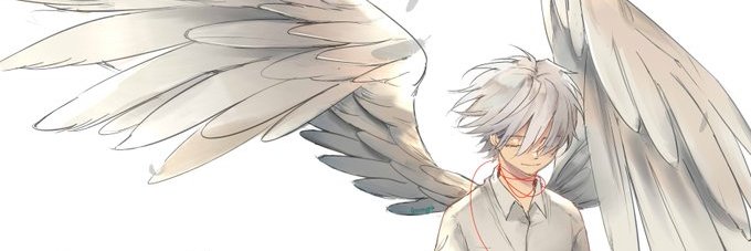 Cosmic banner