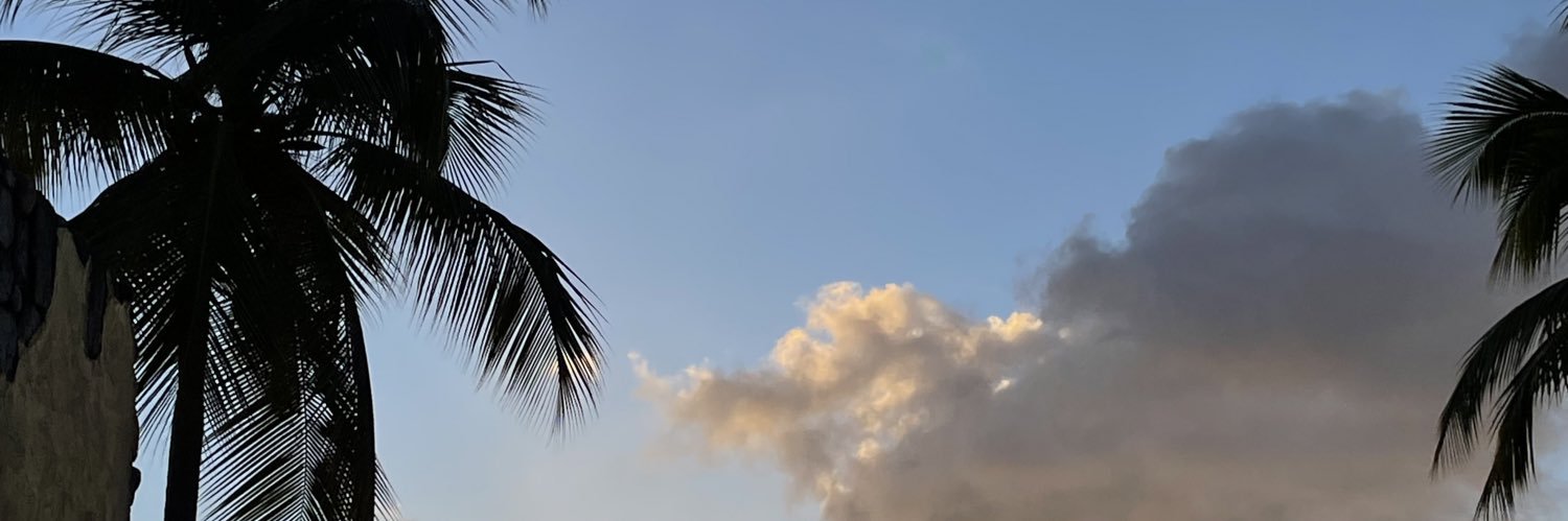 sydholgado's profile banner image