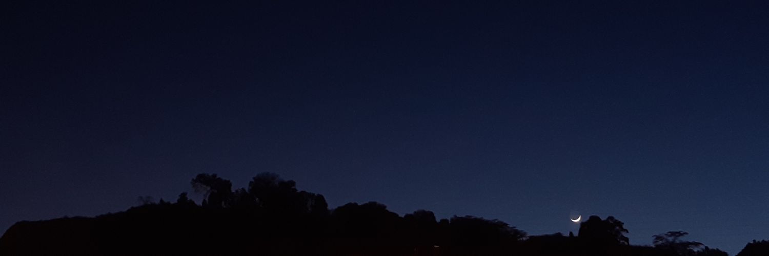 bear_king20's profile banner image