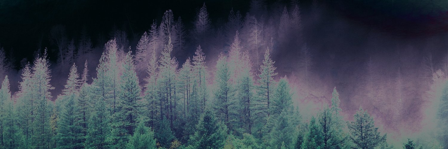 Diligentius's profile banner image