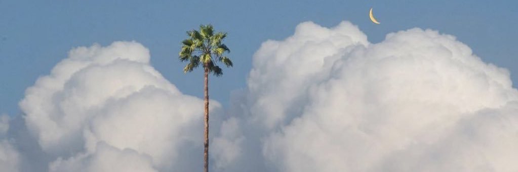 majjodi's profile banner image