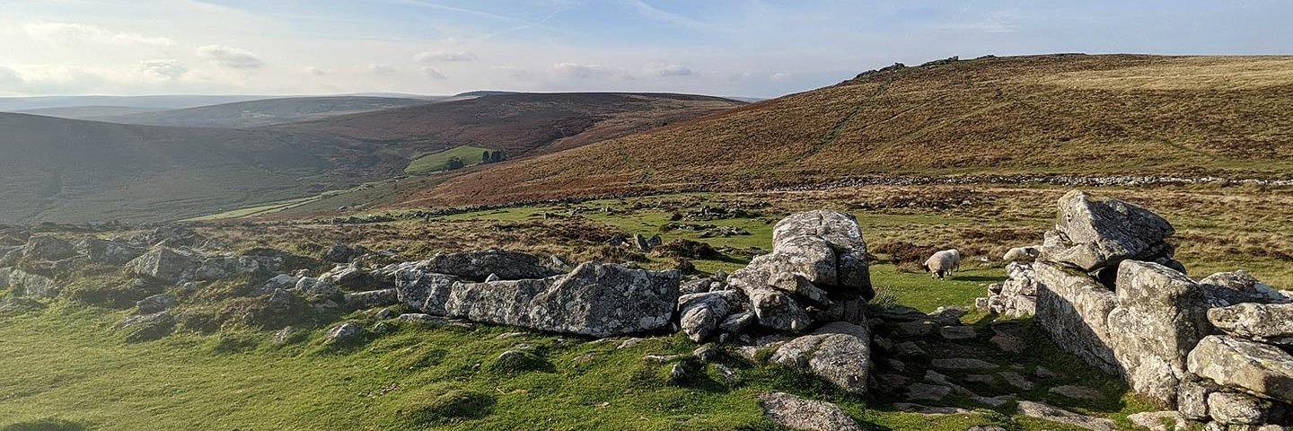 Daniel Williamson banner