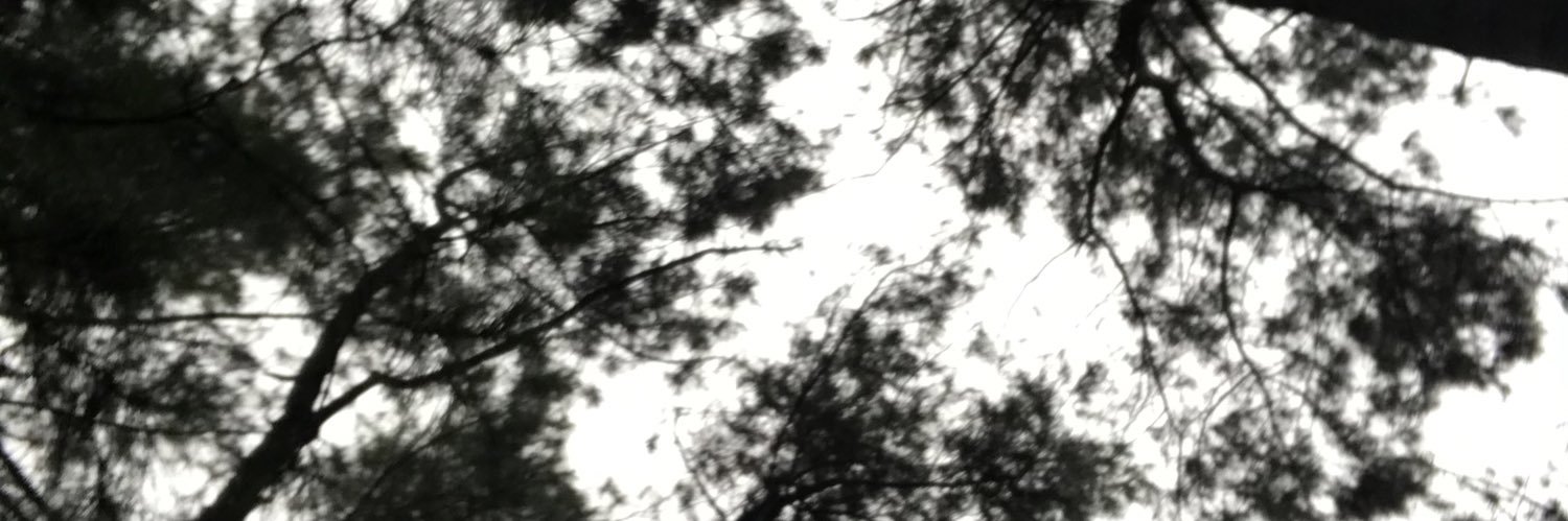 putrisentia's profile banner image