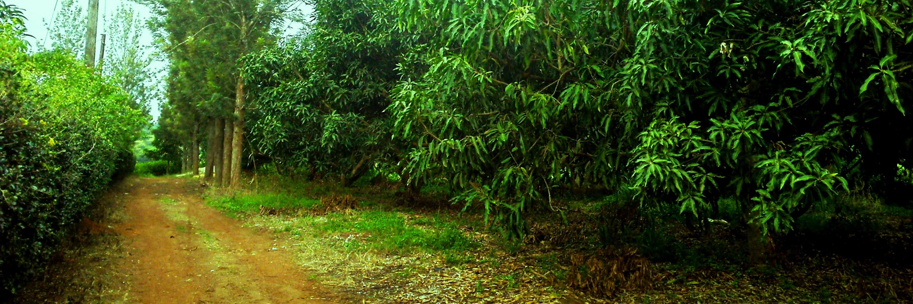 patobig's profile banner image