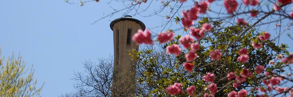 UDEducation's profile banner image
