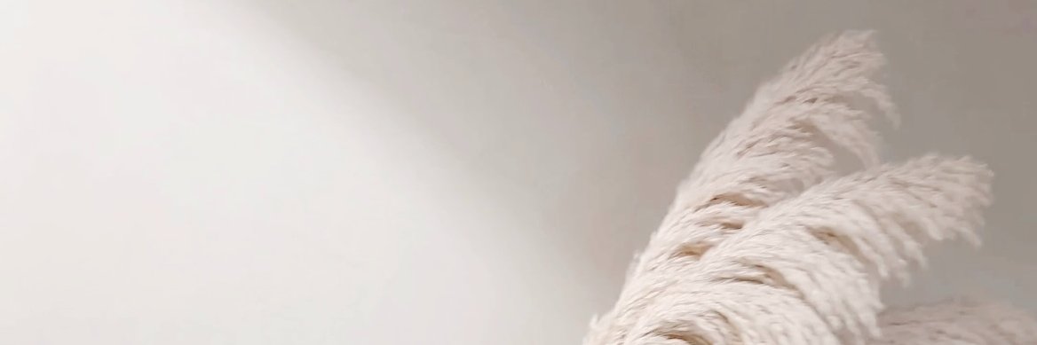 THEDAILYPILATES's profile banner image