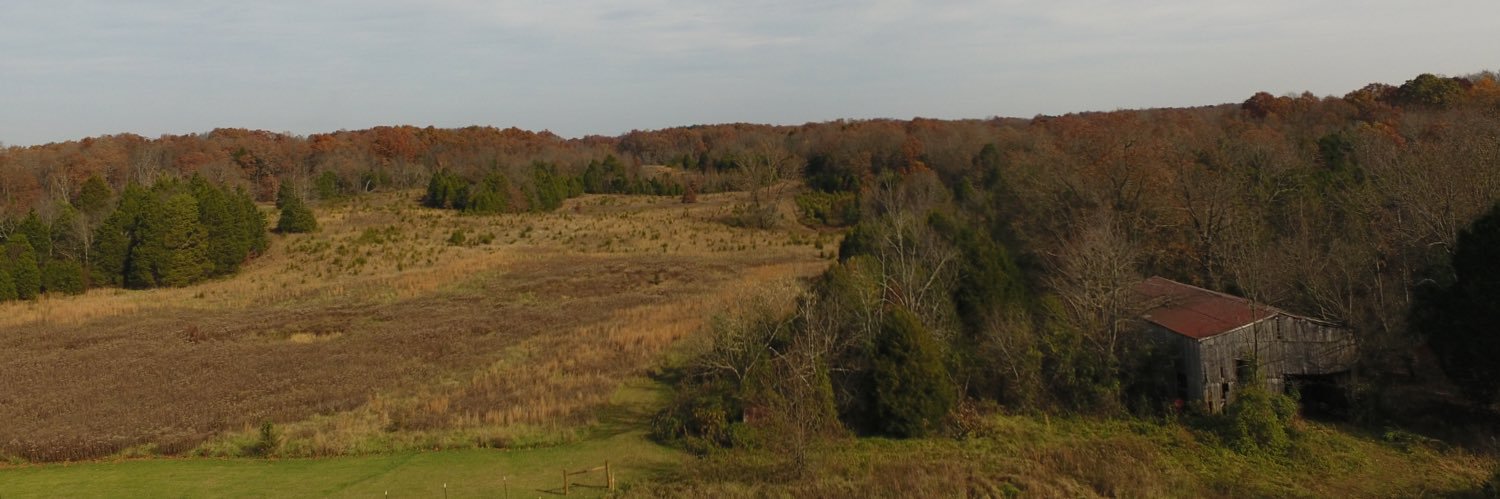 UKCarp2's profile banner image
