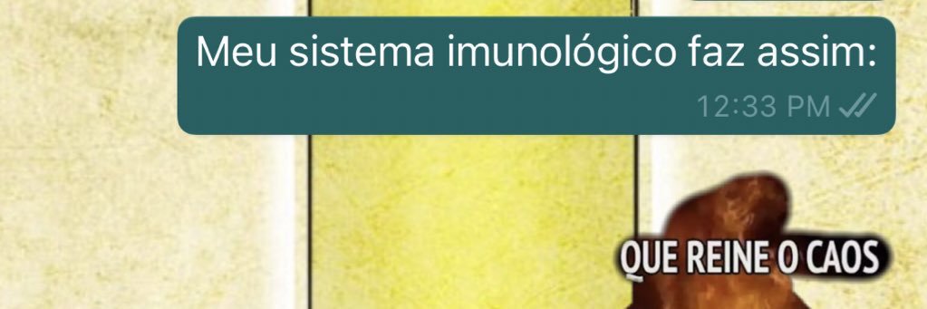 Ana 🥖🔜🚽 banner