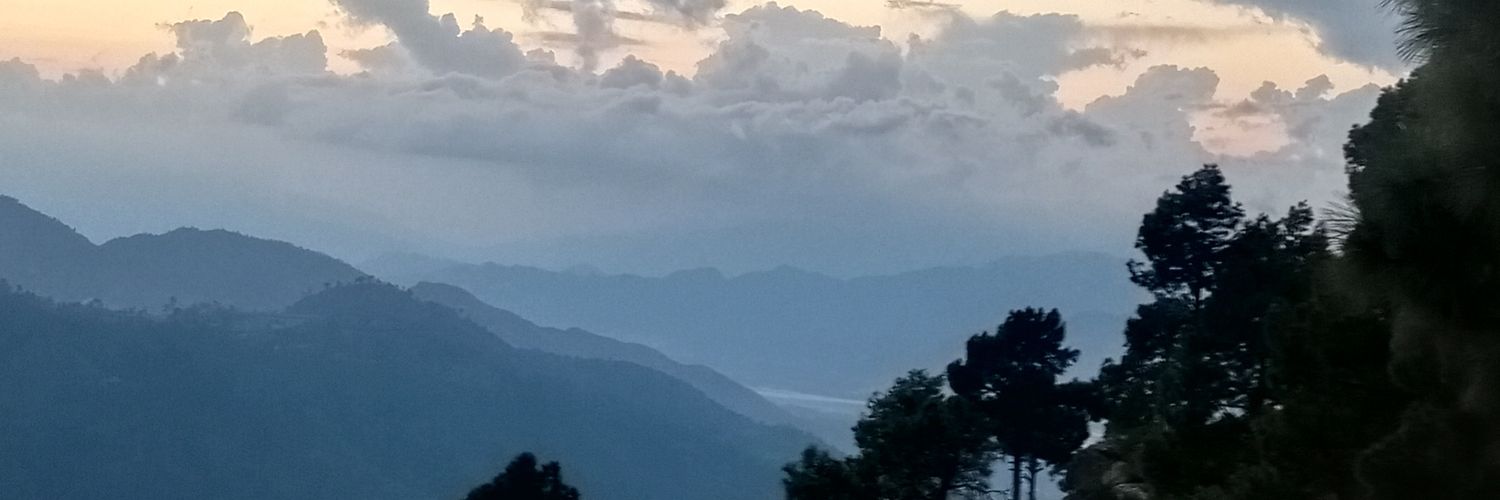 nasarbacha's profile banner image