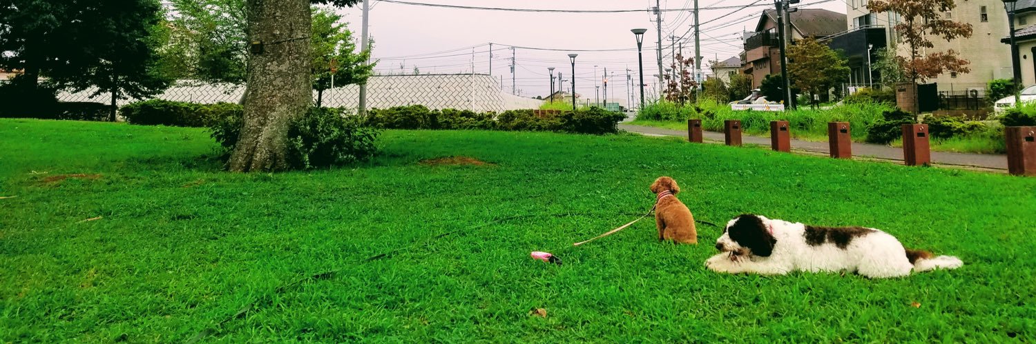 yuzo's profile banner image