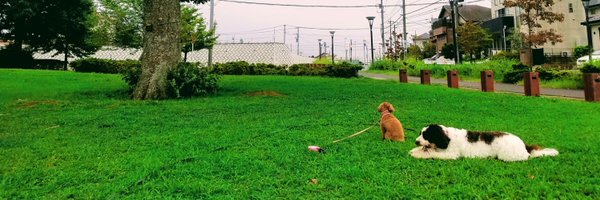 yuzo Profile Banner
