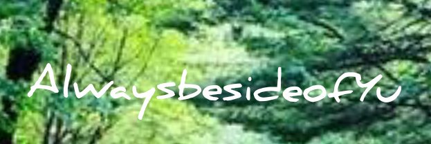 RosesRosesPPP's profile banner image