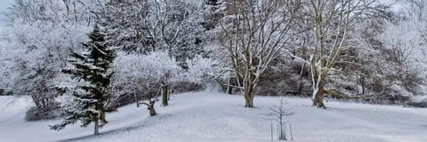 JimPolk Profile Banner