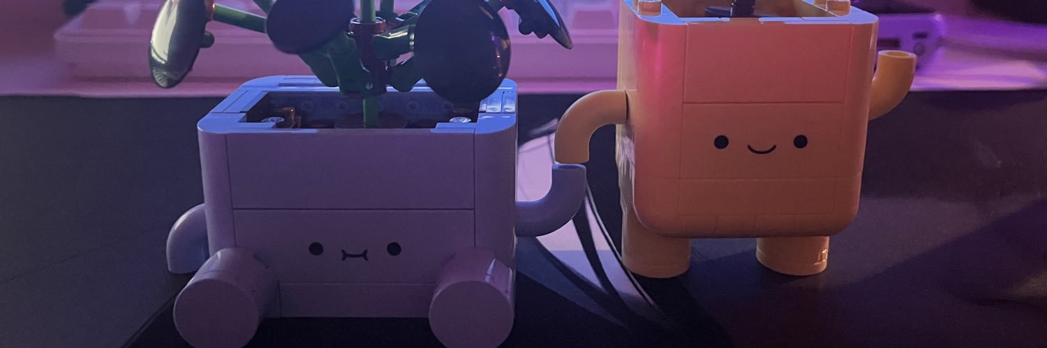 raysjune's profile banner image