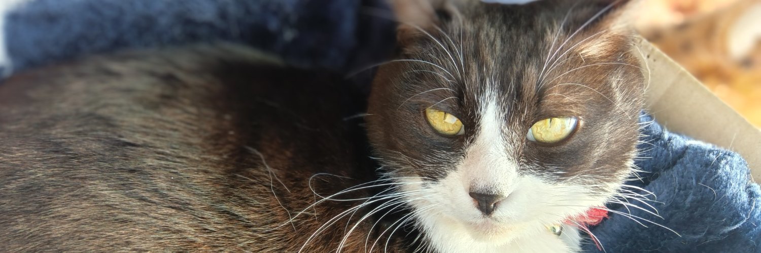 Анчан 😷💉 banner