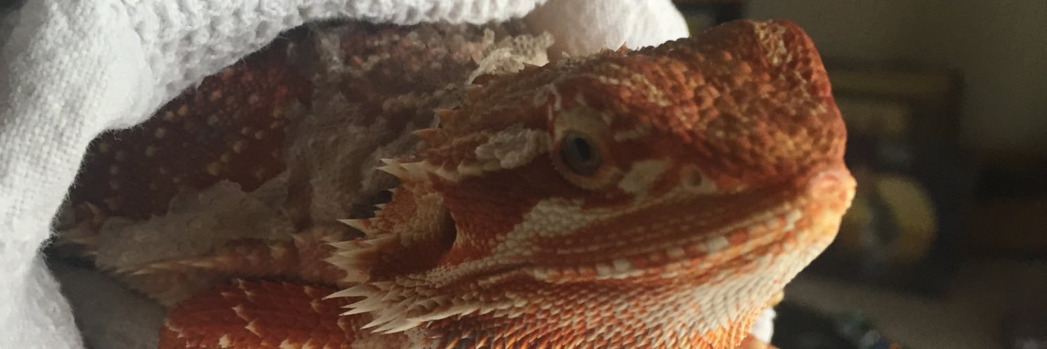 MoshPotato15's profile banner image