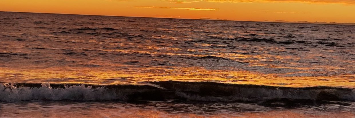 Ari___Taylor's profile banner image