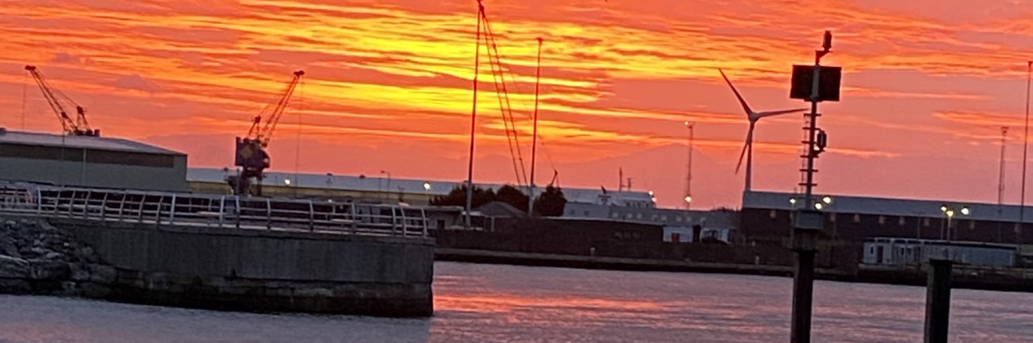 Sarah WG 🏴󠁧󠁢󠁷󠁬󠁳󠁿 banner