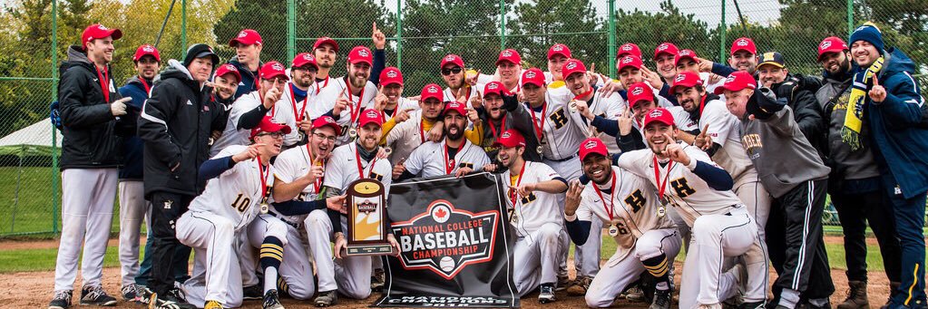 Hawks Baseball banner
