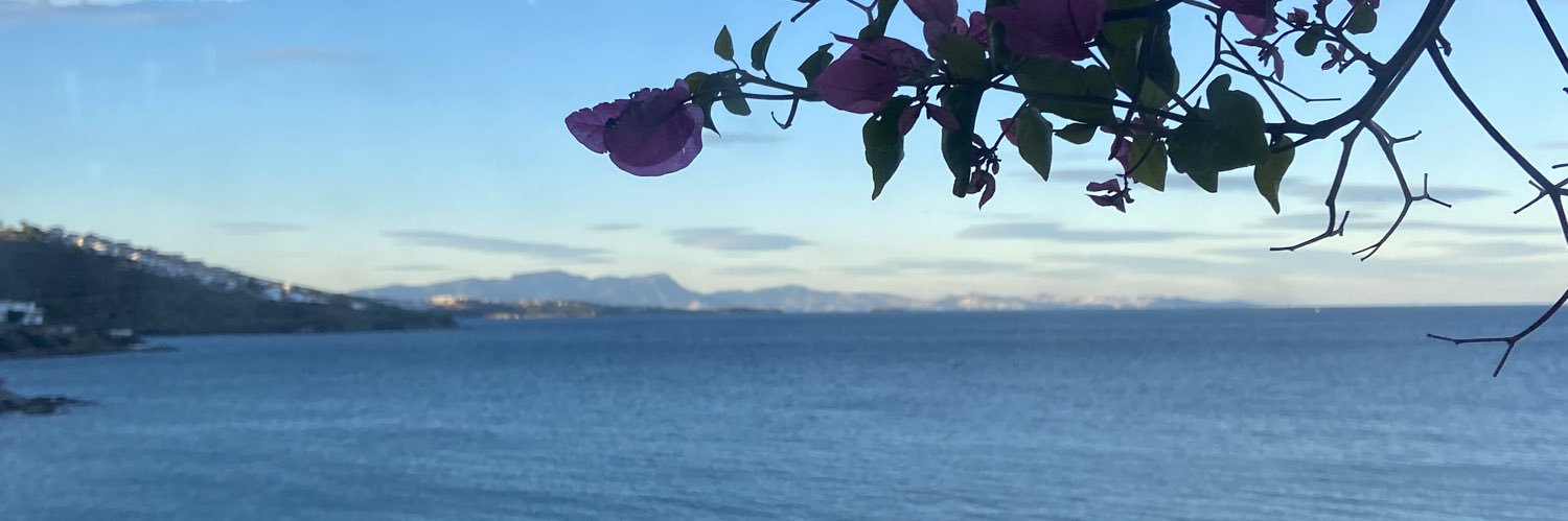 Astsfrt's profile banner image