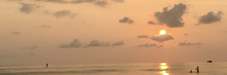 toeytus's profile banner image