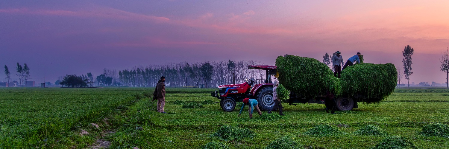 ankush65's profile banner image
