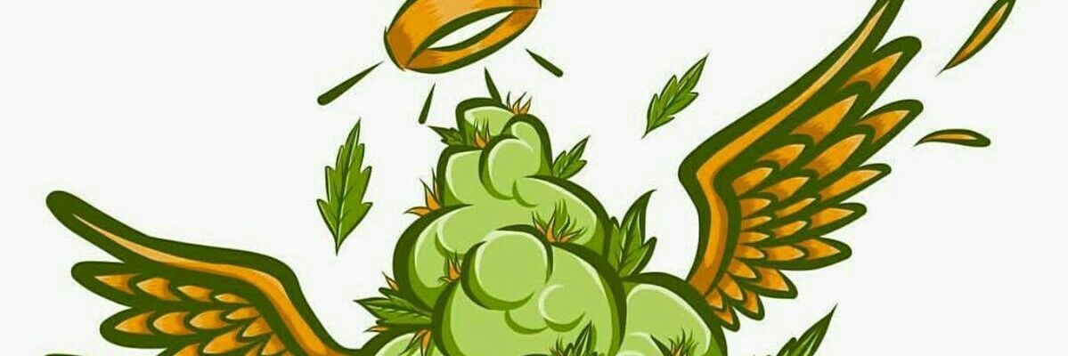 shegsinzu's profile banner image