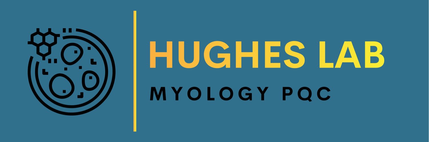 Dave Hughes's banner