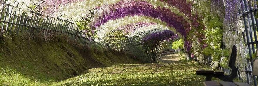 RubyRobyRubyRoby banner