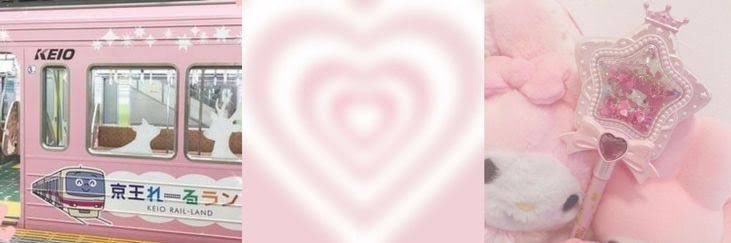 nini ₊✧'s banner