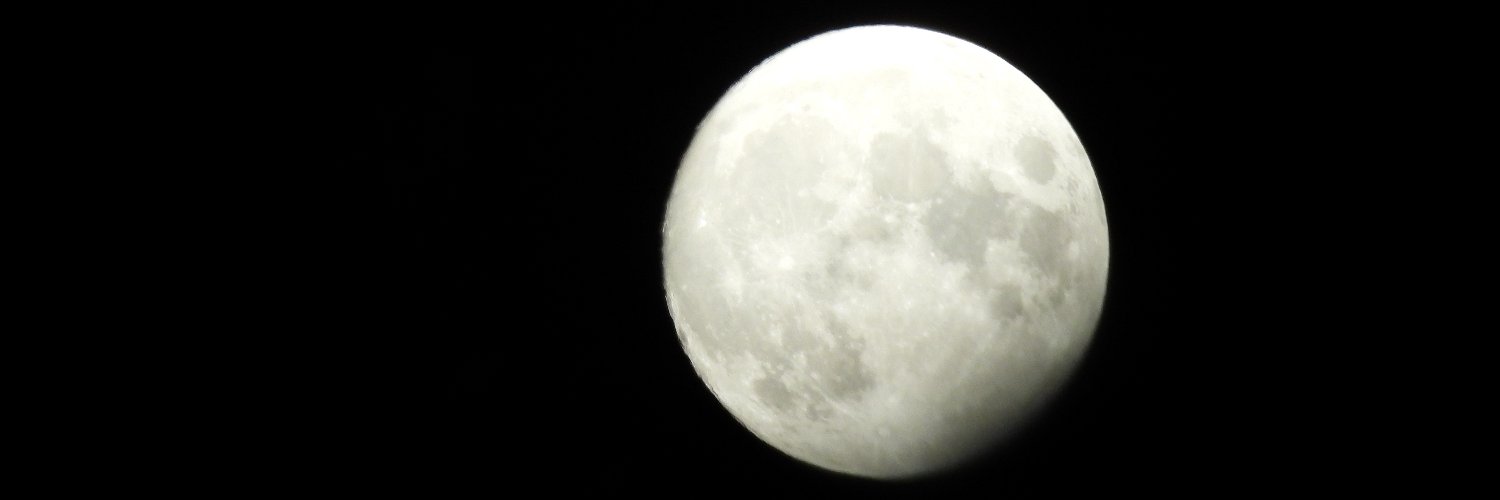 mopsqueezer's profile banner image