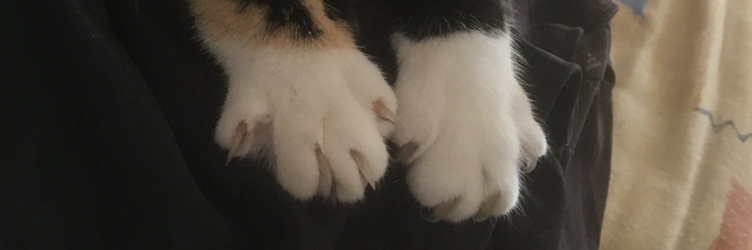 Bvggy's profile banner image