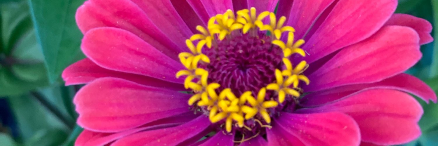 TereseMain's profile banner image