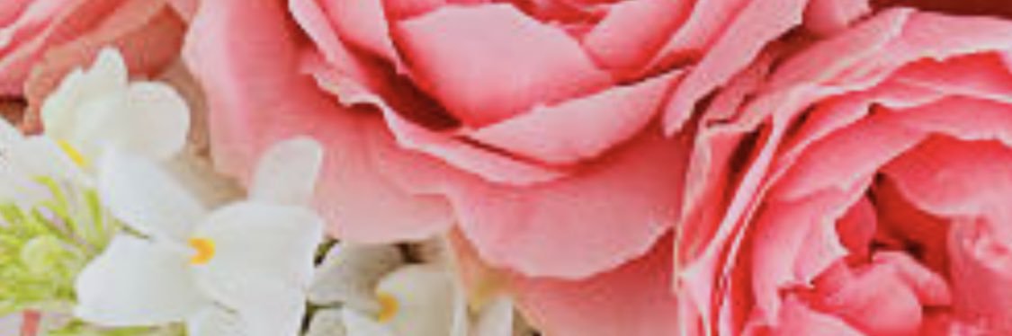 madechan's profile banner image