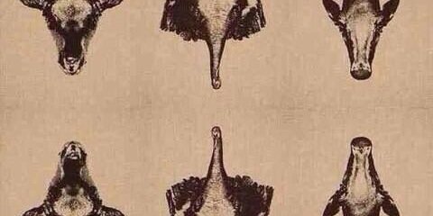 SLATTERYx's profile banner image