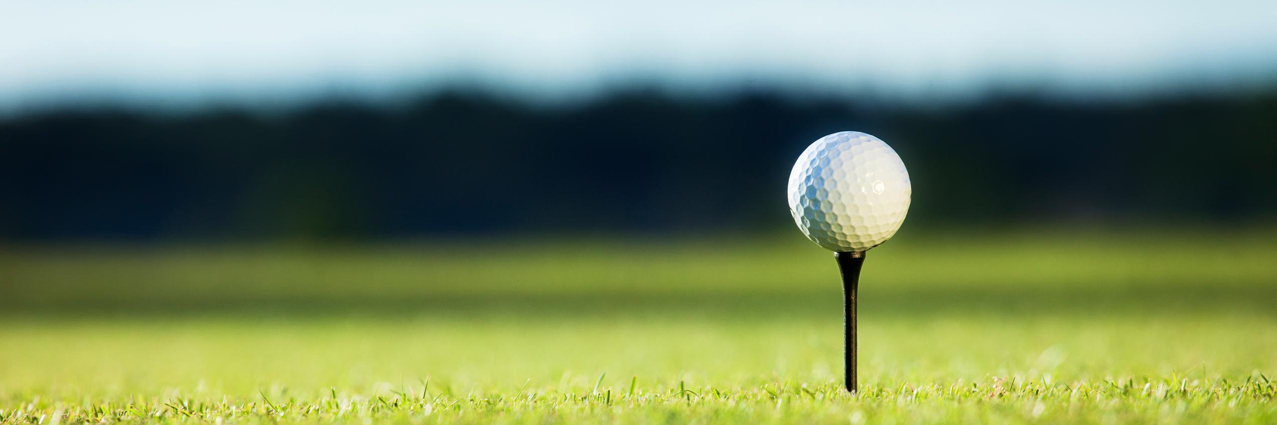 michaelene conner banner