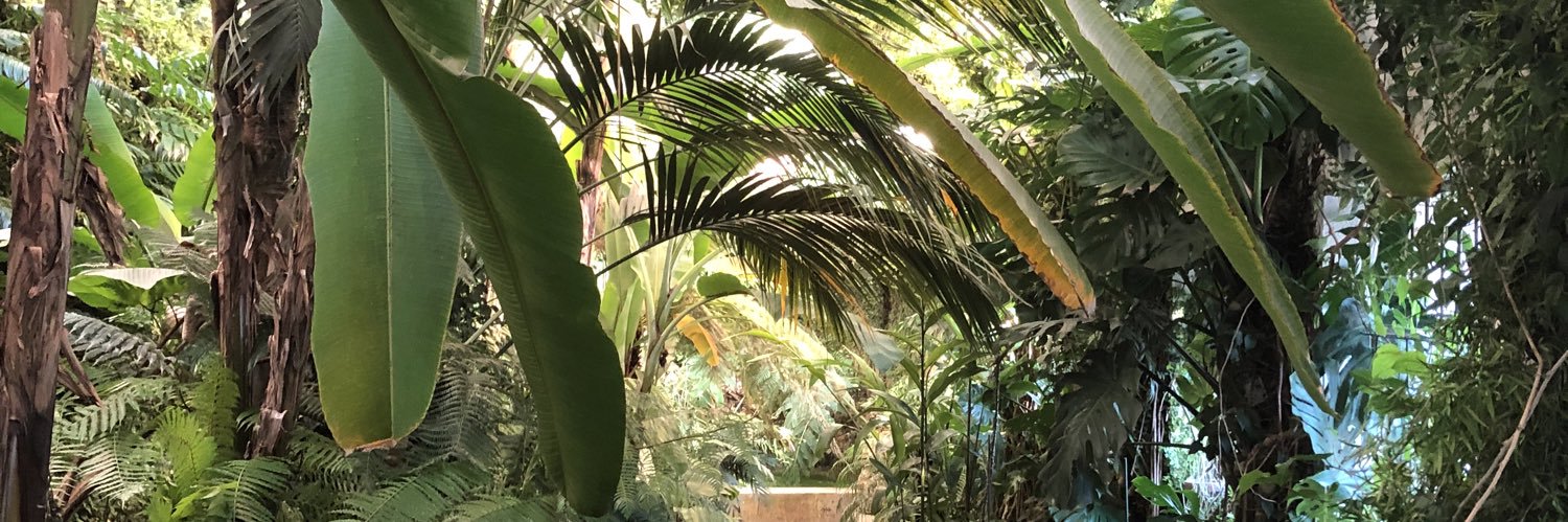 PaulaMartinAl's profile banner image