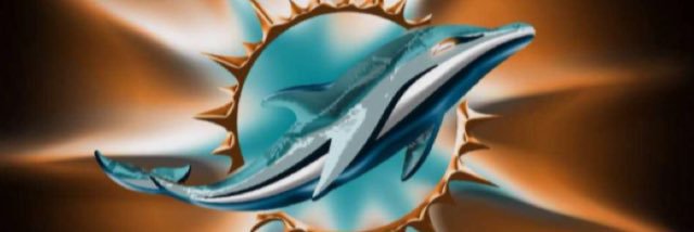dolfan1466's profile banner image