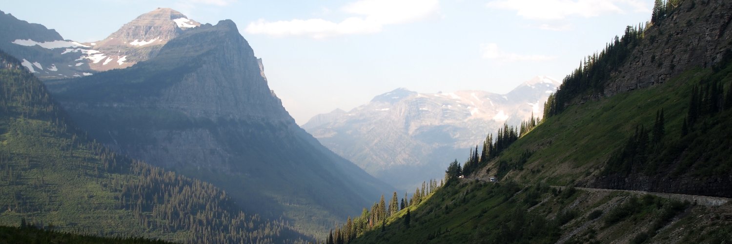 benlansdell's profile banner image