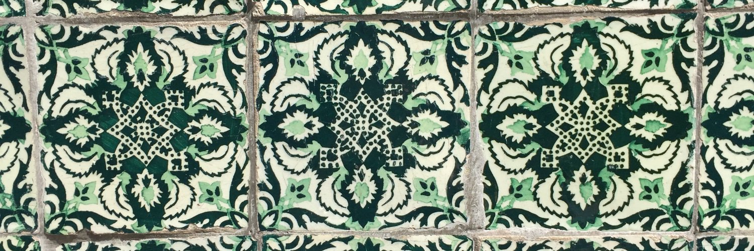 MirnaRAS's profile banner image