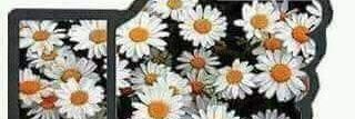 Zero19988's profile banner image