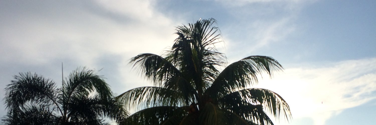 jamesrick017's profile banner image