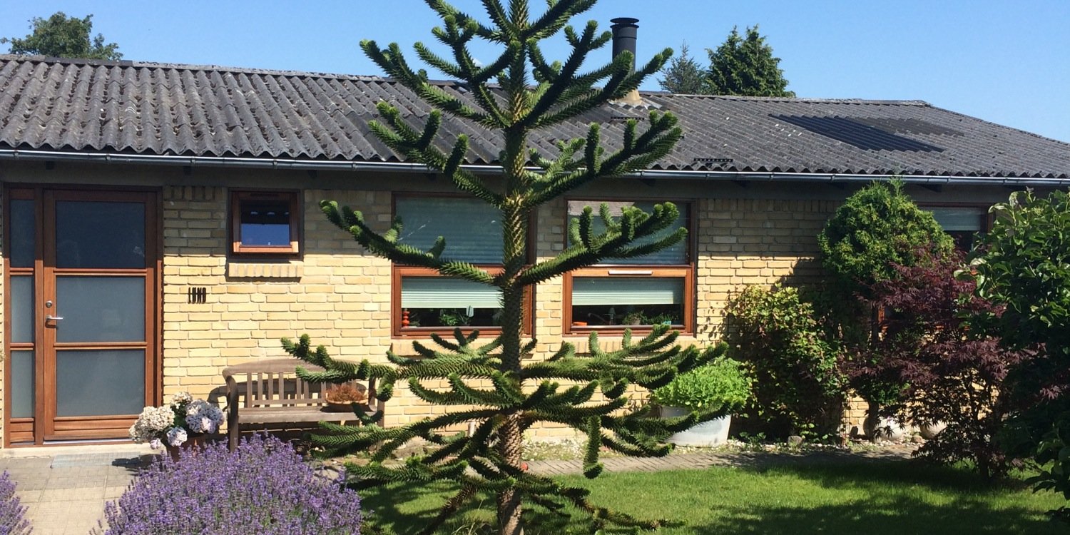 louiselund's profile banner image